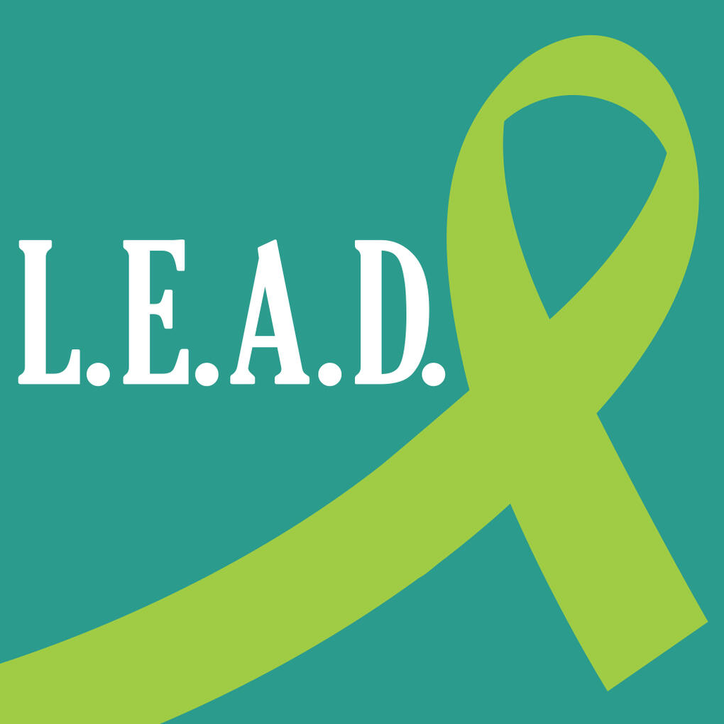 Co-Founder and Board President at Let's Empower, Advocate, and Do, Inc. (LEAD)