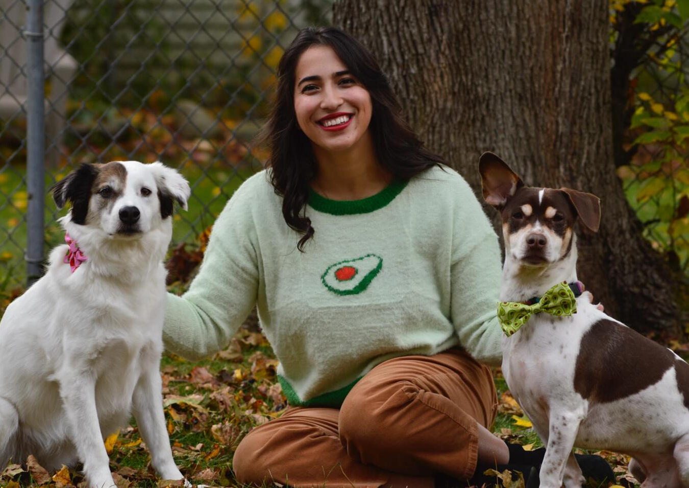 Culinary Director at Bark &amp; Bloom – Wholesome, medicinal, love-filled pet recipes.